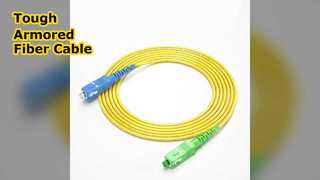 Cable de conexión de fibra óptica blindado SC UPC APC