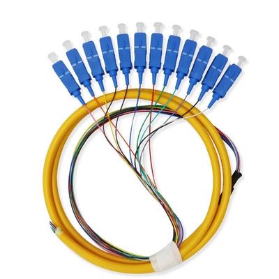 comprar 12 Core Single Mode SC Fiber Pigtail Cable for Networks Communication System Flexible fabricación en línea