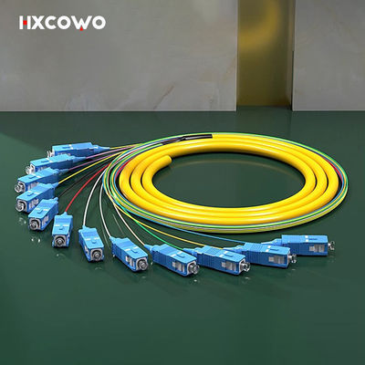 12 Core SC UPC APC LC FC ST E2000 SM MM OM2 OM3 OM4 Fiber Optic Pigtail Ribbon Patch Cord
